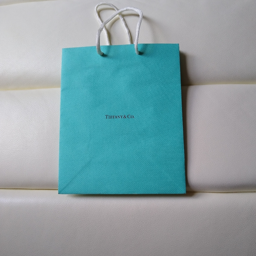 Tiffany & Co. Small shopping bag